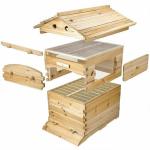 Upgraded Auto Honey Beehive Frames with Cedar Box