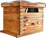 Complete 20 Frame Langstroth Beehive Kit
