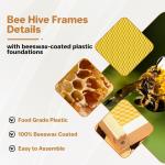 Complete 20 Frame Langstroth Beehive Kit