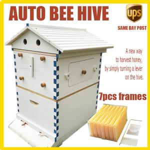 Wooden Bee Hive Starter Kit with Frames