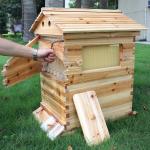 Wooden Bee Hive Starter Kit with Frames