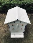 Wooden Bee Hive Starter Kit with Frames
