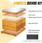 8 Frame Bee Hive Starter Kit with Supplies