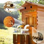 Complete Bee Hive Starter Kit with Frames and Supplies