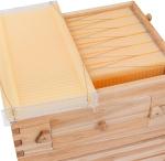 Complete Bee Hive Starter Kit with Frames and Supplies