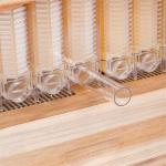 Complete Bee Hive Starter Kit with Frames and Supplies