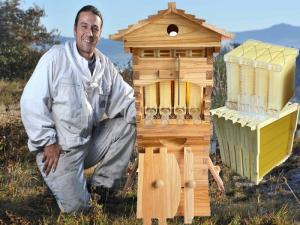 Mini Auto Honey Bee Hive with 10 Frames