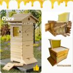Mini Auto Honey Bee Hive with 10 Frames
