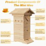 Mini Auto Honey Bee Hive with 10 Frames