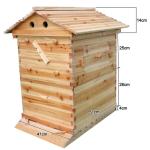 Auto Drain Honey Bee Hive Starter Kit with Frames