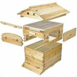 Auto Drain Honey Bee Hive Starter Kit with Frames