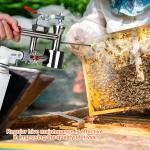 Butane-Powered Oxalic Acid Vaporizer for Beekeeping