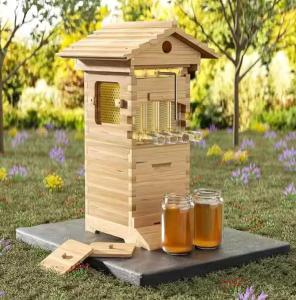 10 Beehive Frames and Mini Brood Box Set