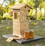 10 Beehive Frames and Mini Brood Box Set