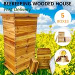 5 Layer Bee Hive Starter Kit for Beekeeping