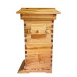 10 Beehive Frames and Mini Brood Box Set