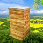 5 Layer Bee Hive Starter Kit for Beekeeping