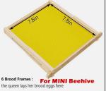 10 Beehive Frames and Mini Brood Box Set