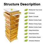 5 Layer Bee Hive Starter Kit for Beekeeping