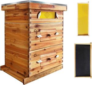 10 Frame Beehive Kit with Beeswax Coating