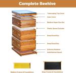 10 Frame Beehive Kit with Beeswax Coating