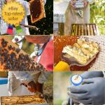 12-Piece Beekeeping Supplies Starter Kit