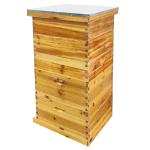 5-Piece Beehive Kit: 2 Deep & 3 Medium Boxes