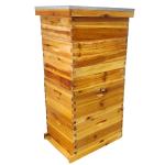 5-Piece Beehive Kit: 2 Deep & 3 Medium Boxes