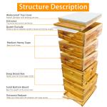 5-Piece Beehive Kit: 2 Deep & 3 Medium Boxes