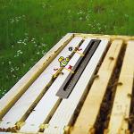 Bee Tool Storage Case for Beekeepers