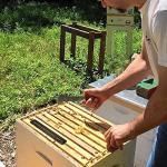 Bee Tool Storage Case for Beekeepers