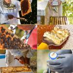 12-Piece Beekeeping Starter Kit Supplies