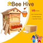 Golden Palace Auto 7PCS Cedar Beehive Kit