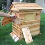 Auto Shedding Beehive Starter Kit with 7 Frames