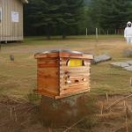 10 Frame Beeswax Coated Complete Beehive Kit