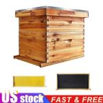 10-Frame Beehive Kit with Wax-Coated Frames