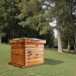 10-Frame Beehive Kit with Wax-Coated Frames