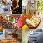 Blisstime 12-Piece Beekeeping Starter Kit