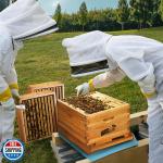 8-Frame Beehive Starter Kit with Wax Frames