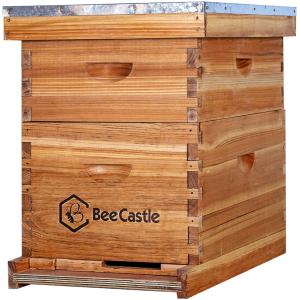 Beeswaxed 10-Frame Beehive Kit with Accessories