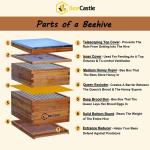 Beeswaxed 10-Frame Beehive Kit with Accessories
