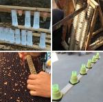 20PCS Queen Bee Rearing Cup Kit for Beekeeping