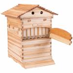 Cedar Beehive Set with 7 Honeycomb Frames