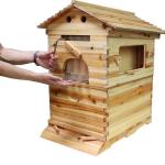 Wooden Brood Beekeeping Box with 7 Honey Frames