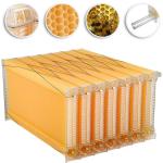 Wooden Brood Beekeeping Box with 7 Honey Frames
