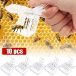 10 Pack Plastic Queen Cage Clip for Beekeeping