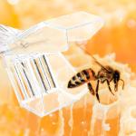 10 Pack Plastic Queen Cage Clip for Beekeeping