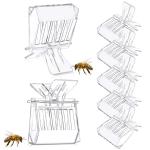10 Pack Plastic Queen Cage Clip for Beekeeping