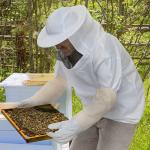 Ventilated Beekeeping Suit with Gloves and Hood