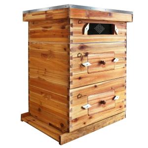 10 Frame Bee Hive Kit with Acrylic Windows